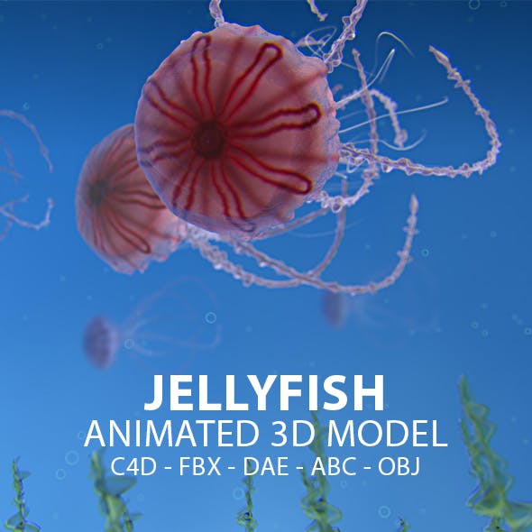 Jellyfish Animated 3D Model
