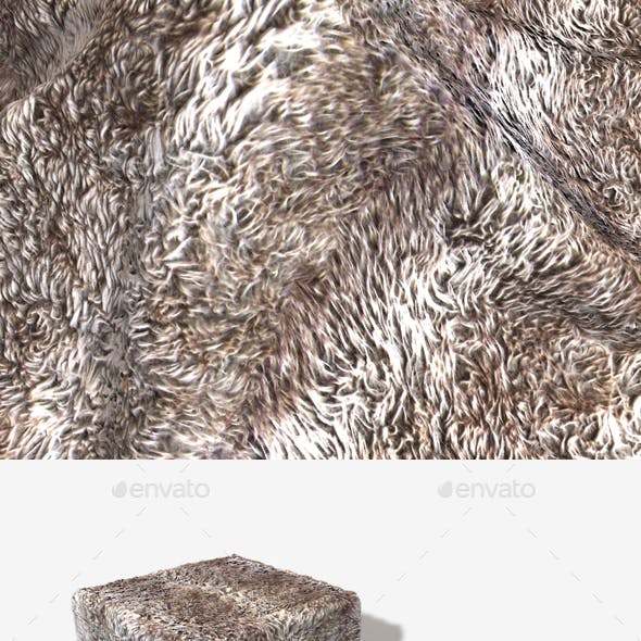 Striped Shaggy Fur Seamless Texture