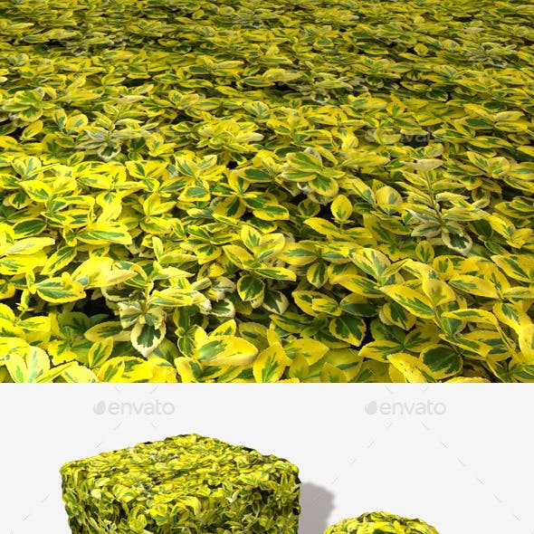 Yellow Leaves Seamless Texture
