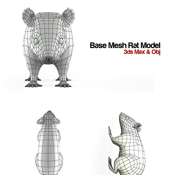Base Mesh Rat Model